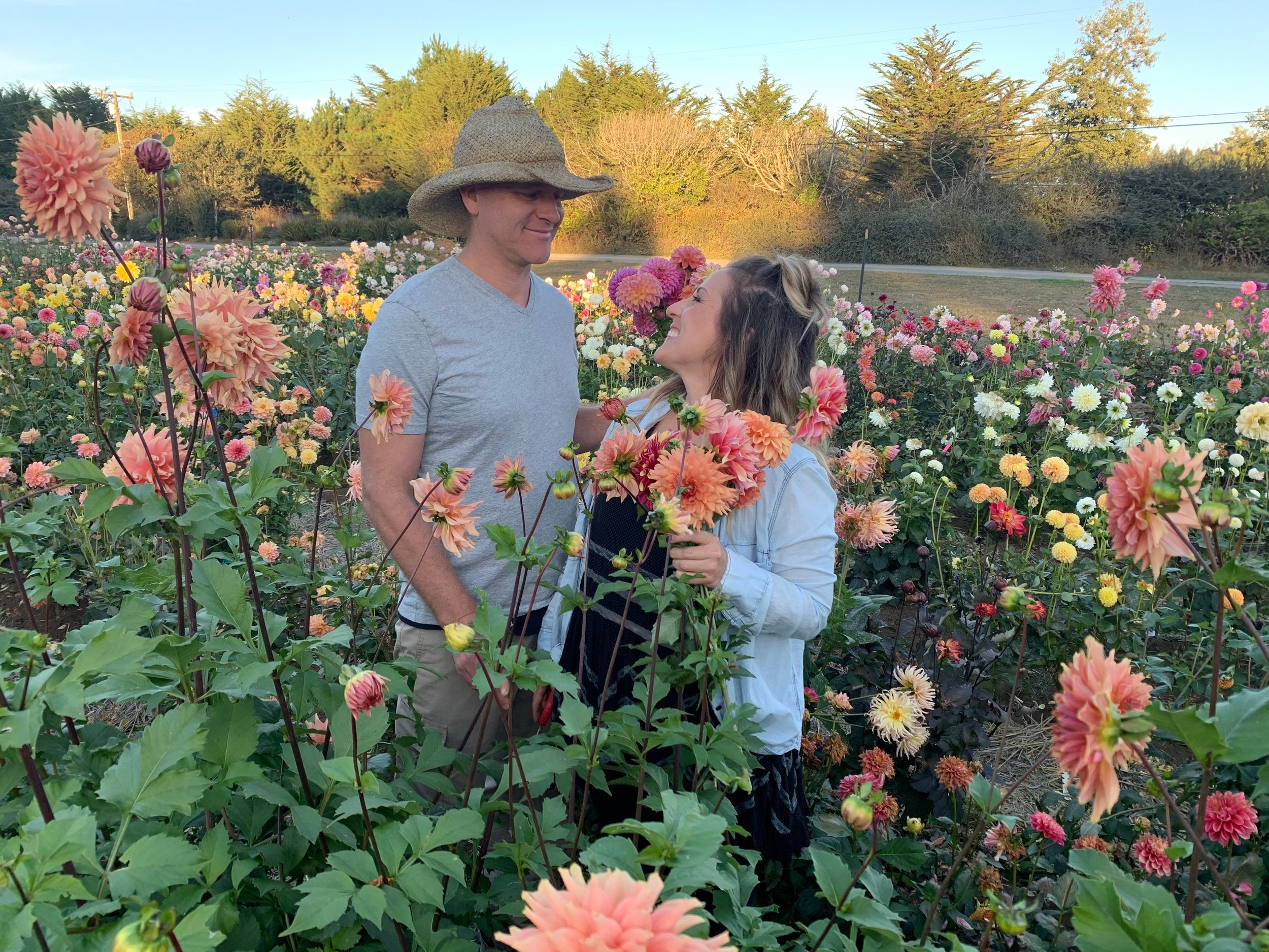 Bloomtide Flowers 
