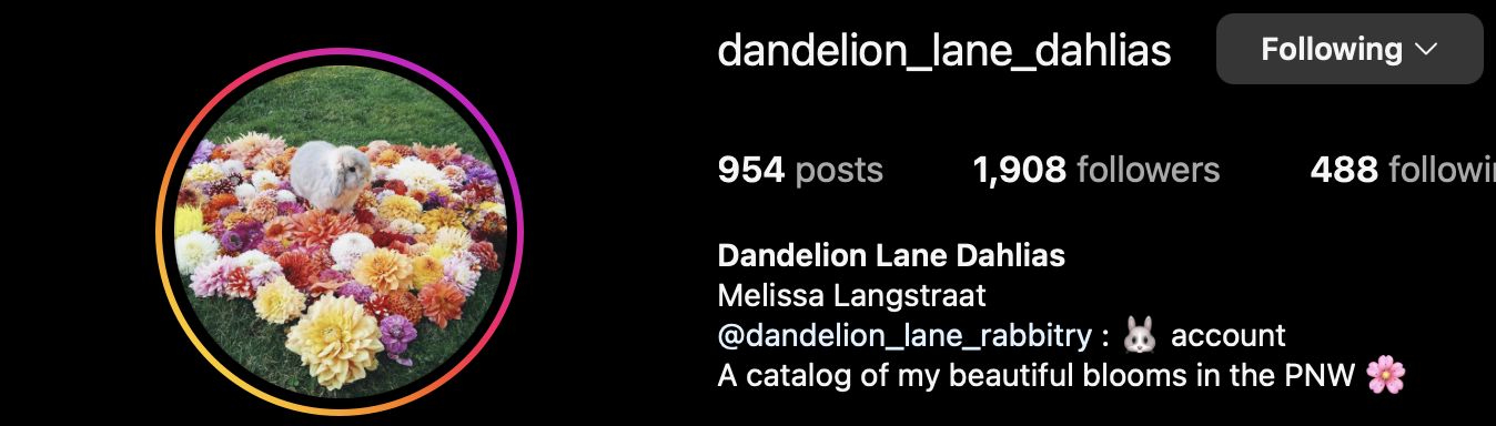 Dandelion Lane Dahlias