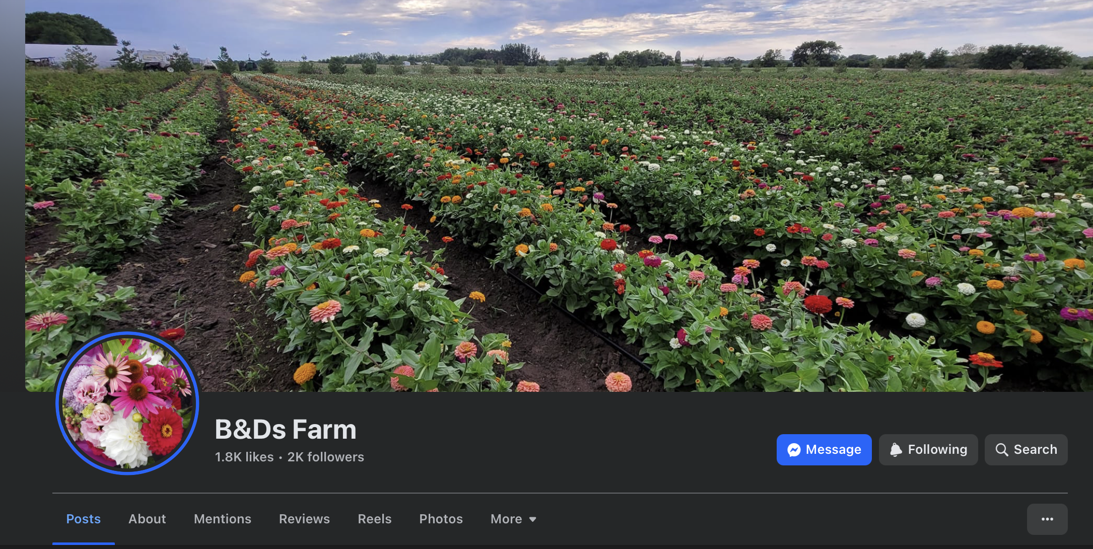 B&D's Farm